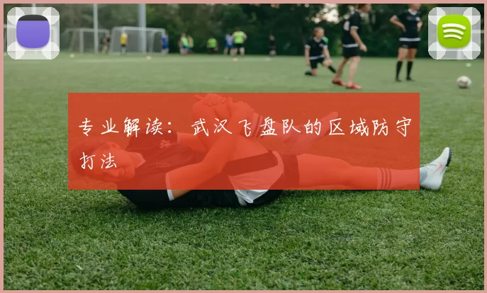 专业解读：武汉飞盘队的区域防守打法