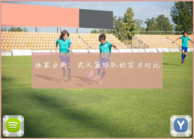 独家分析：武汉篮球队的实力对比