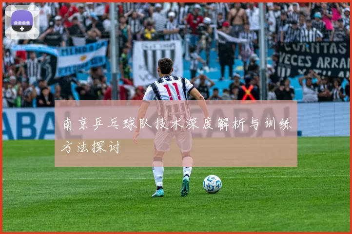 南京乒乓球队技术深度解析与训练方法探讨